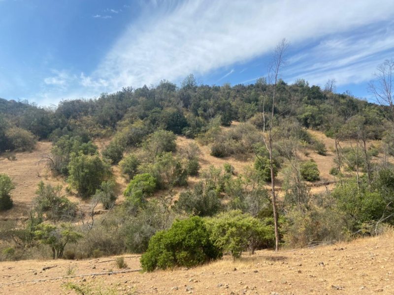 Lot for sale in Rancagua, O'Higgins