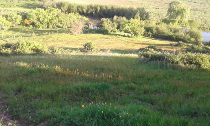 Lot for sale in Cauquenes, Maule