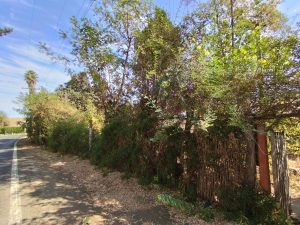 Se vende terreno de 2.000 m2 en Sector Lo de Lobos, Rengo