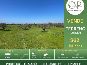 Se Vende Terreno 5.000 Mt2, lote N°1 Los Laureles, Limache