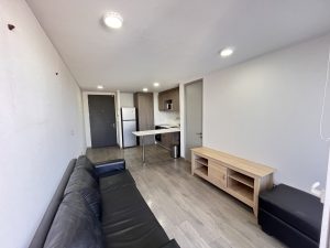 Arriendo hermoso Depto nuevo 1 D 1Estaccionamiento Macul