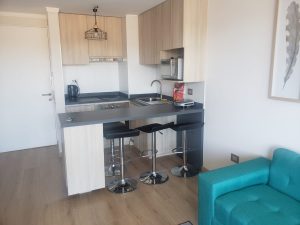 Se arrienda departamento amoblado a minutos de 1 norte, Isla Picton.-