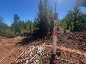 Loteo Fundo Millaco, Pichilemu