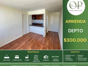 Se Arrienda Depto 1d1+b, Cerro Larraín, Valparaíso