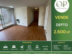 Se Vende Depto 1h1b Viña plaza 2, Centro de Viña del mar