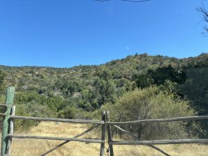 Terreno 10.000 Mts2, Condominio de Parcelas ¨El Pehuen¨
