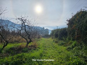 Parcela en Lo Miranda.
