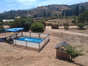Hermosa Parcela en Limache, terreno de 5.000 m2.