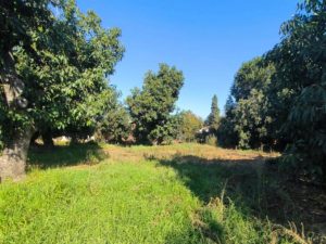 Oportunidad de Inversión, Terreno de 2.646 m2 en Limache Viejo.