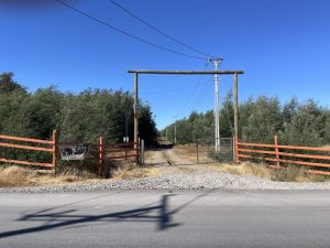 Parcela en venta camino a Pinto sector Pichilluanco
