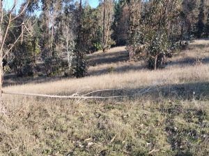 Venta de Parcela HJ-4B – Codihue, Butaco, Carahue Rol Propio
