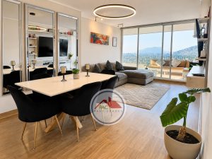 Venta Departamento 3 Dormitorios Impecable, Valle Lo Campino
