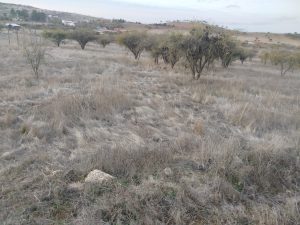 Se vende Parcela en Mallermo, comuna de Marchigue