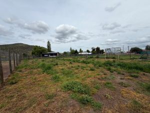 Terreno en Coinco