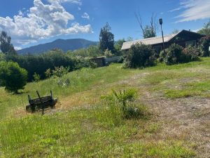 Hermosa parcela en venta - sector El Manzanito, Paine