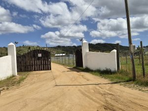 Se vende Parcela de 5000 m2 sector La Pitra-La Quebrada, Marchigue